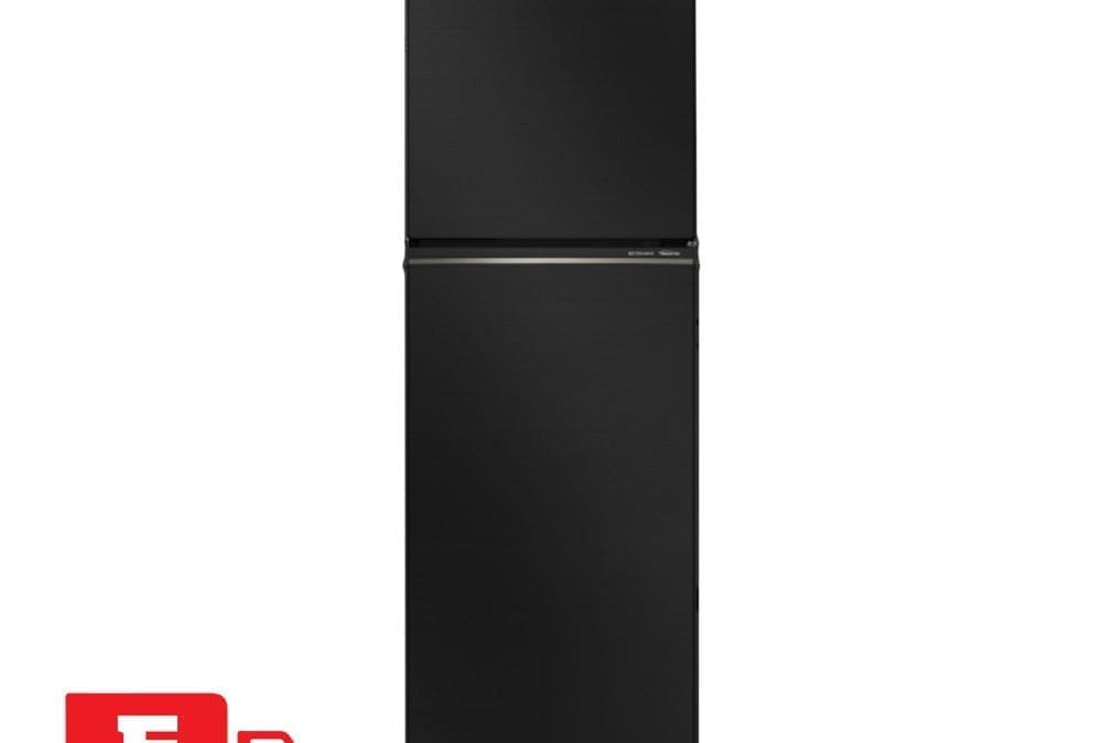 Avail EMCOR’s Christmas Sale, Purchase Panasonic Inverter Refrigerator with a 14% Discount!