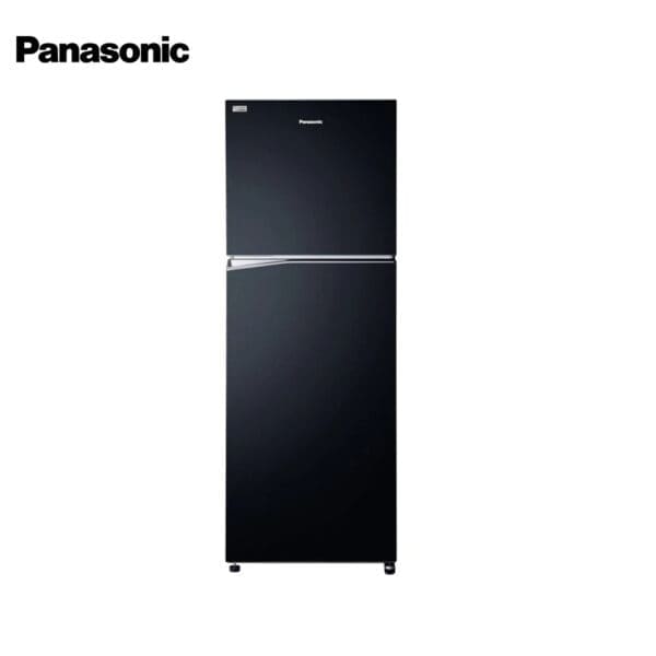Panasonic 12.9 cu ft Two Door Refrigerator NR-TL381BPKP